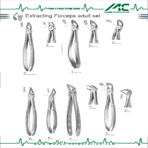 MOEEN Extracting Forceps Adult Set