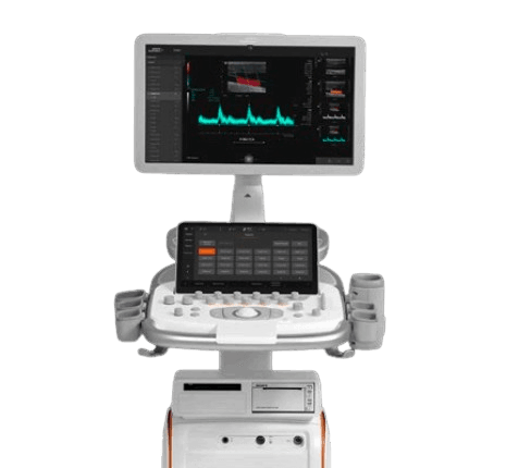 SIEMENS Acuson Redwood